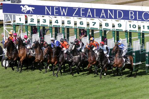 new zealand race results